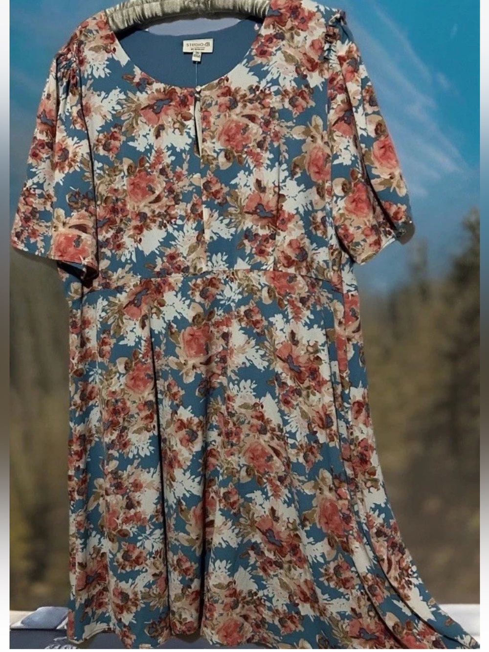 Bobeau Dress 2X New Floral Print Fully Lined Crepe A-Line Plus Size $55 NWT